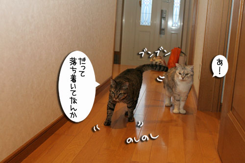 どさ草にまぎれて_d0355333_16585022.jpg