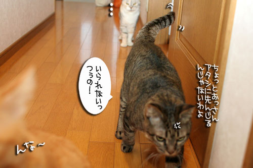 どさ草にまぎれて_d0355333_16585110.jpg