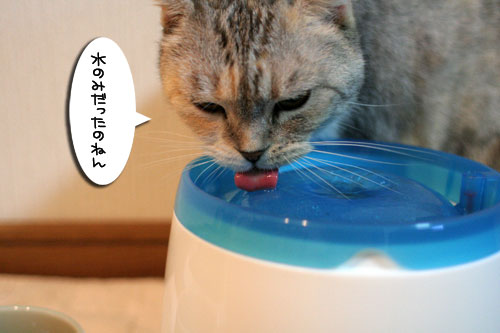 一番に飲んだのは誰?_d0355333_16591955.jpg