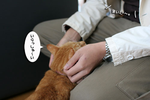 おやじはやっぱりセクハラ気味_d0355333_17003939.jpg