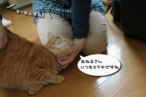 おやじはやっぱりセクハラ気味_d0355333_17003971.jpg