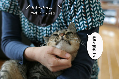 おやじはやっぱりセクハラ気味_d0355333_17004064.jpg