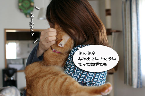 おやじはやっぱりセクハラ気味_d0355333_17004081.jpg