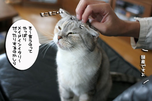 おやじはやっぱりセクハラ気味_d0355333_17004098.jpg