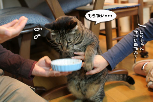 おやじはやっぱりセクハラ気味_d0355333_17004147.jpg