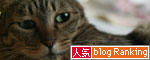 発売日前日に揉め事_d0355333_17004862.jpg
