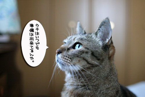 いよいよ本日発売・・・_d0355333_17004945.jpg