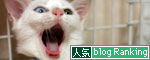 美白×ガングロ_d0355333_17010329.jpg