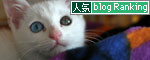 野良猫親子に思いを馳せて・・・_d0355333_17010635.jpg