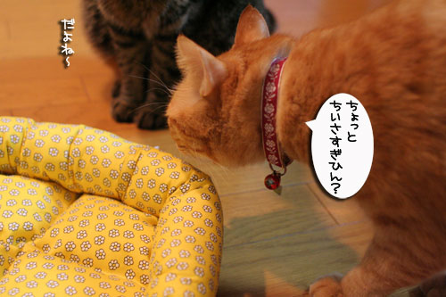 ちっちゃな猫ベッド_d0355333_17011116.jpg
