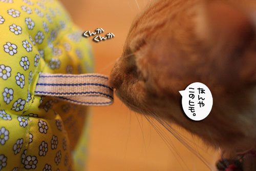 ちっちゃな猫ベッド_d0355333_17011191.jpg