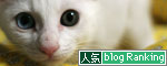 ちっちゃな猫ベッド_d0355333_17011243.jpg