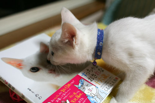 すっちゃん本に・・・_d0355333_17012244.jpg