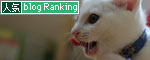 子猫の主張!_d0355333_17013003.jpg