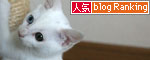 そこは子猫の場所_d0355333_17013438.jpg