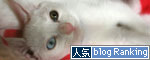 こねこが化け猫に!_d0355333_17014127.jpg