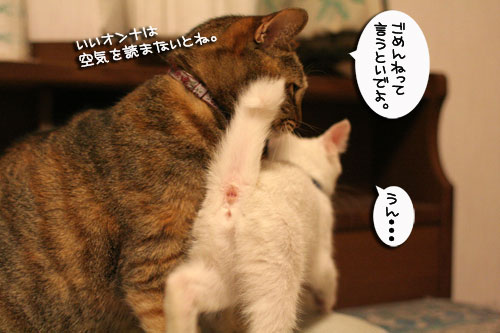 ちゃとらんパンチ炸裂!_d0355333_17014144.jpg