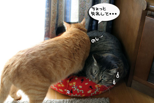 それはムリ!追記あり_d0355333_17014373.jpg