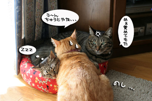それはムリ!追記あり_d0355333_17014461.jpg