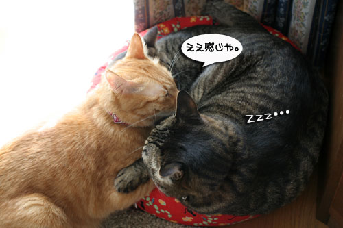 それはムリ!追記あり_d0355333_17014474.jpg