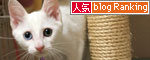 腹をくくれば_d0355333_17014630.jpg