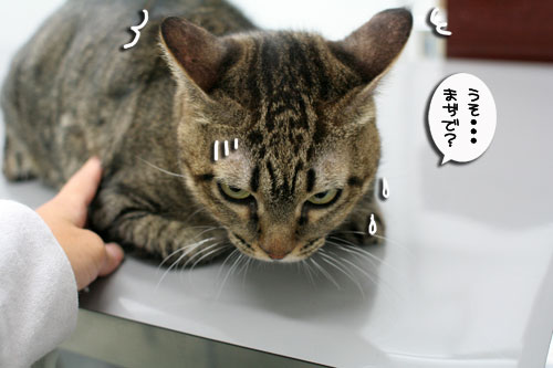 腹をくくれば_d0355333_17014658.jpg