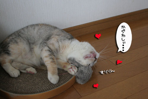 おまたにたまたま_d0355333_17014826.jpg