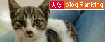 にゅ~すの真相は_d0355333_17015298.jpg