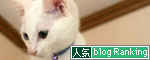 ちょっと病院へ_d0355333_17015758.jpg