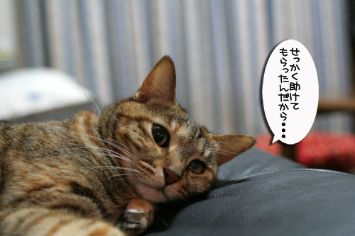 ちょっと病院へ_d0355333_17015773.jpg