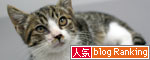 幸せになってほしくて_d0355333_17015940.jpg