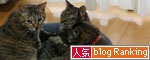 無理ヤリ感たっぷり_d0355333_17020406.jpg