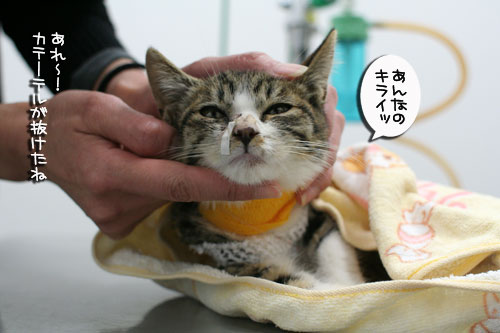 生きる力を!_d0355333_17020556.jpg