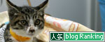 生きる力を!_d0355333_17020789.jpg