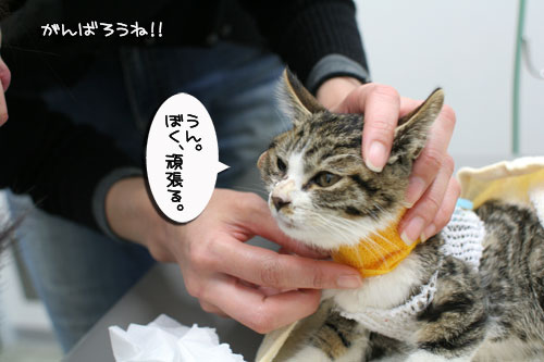 生きる力を!_d0355333_17020792.jpg