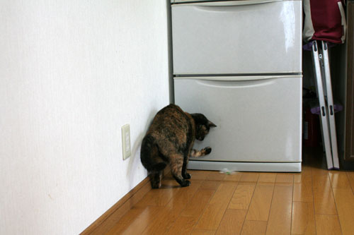 そんなモノになぜ?_d0355333_17020810.jpg