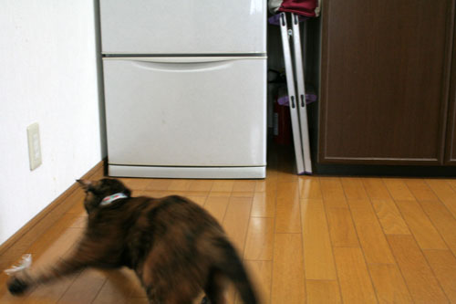 そんなモノになぜ?_d0355333_17020876.jpg