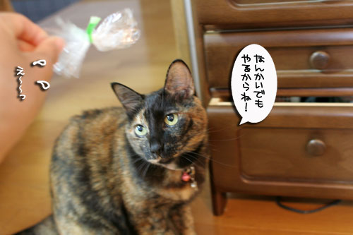 そんなモノになぜ?_d0355333_17020938.jpg