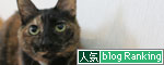 そんなモノになぜ?_d0355333_17020992.jpg