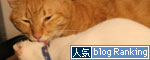 KYな子猫_d0355333_17022079.jpg