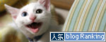 幸せの子猫_d0355333_17022199.jpg