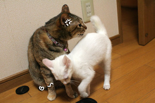 限度ってものがある_d0355333_17022234.jpg
