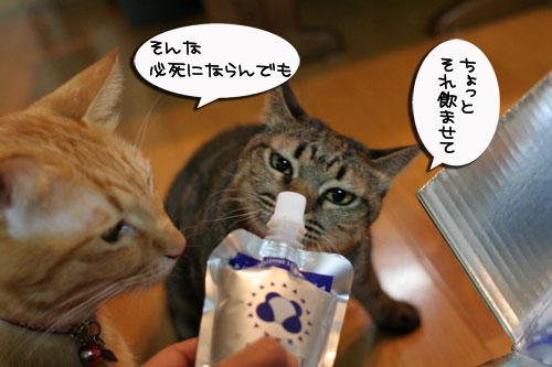 美白の水、飲んでみる?_d0355333_17022715.jpg