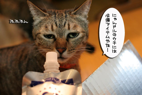 美白の水、飲んでみる?_d0355333_17022745.jpg
