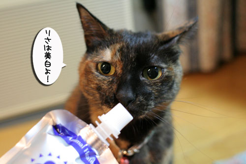 美白の水、飲んでみる?_d0355333_17022748.jpg