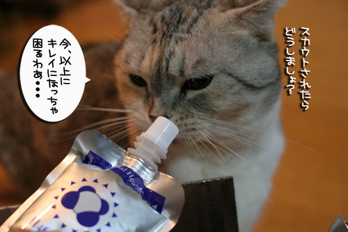 美白の水、飲んでみる?_d0355333_17022787.jpg