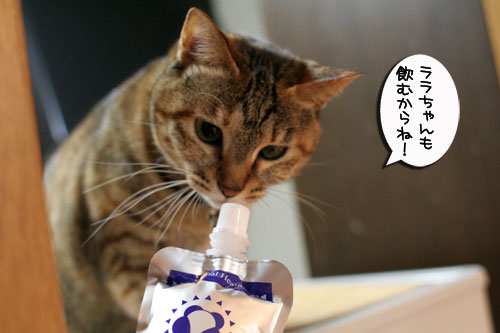 美白の水、飲んでみる?_d0355333_17022858.jpg