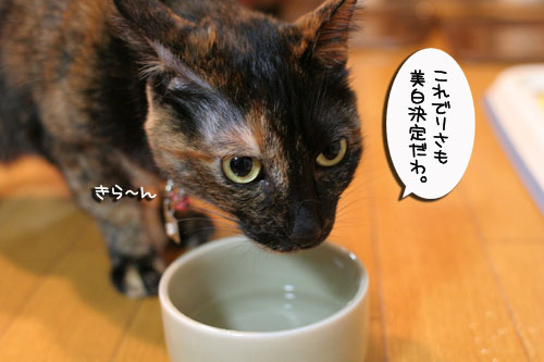 美白の水、飲んでみる?_d0355333_17022960.jpg