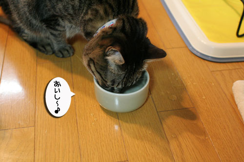 美白の水、飲んでみる?_d0355333_17022991.jpg