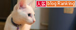 好奇心は留まることを知らず_d0355333_17023300.jpg